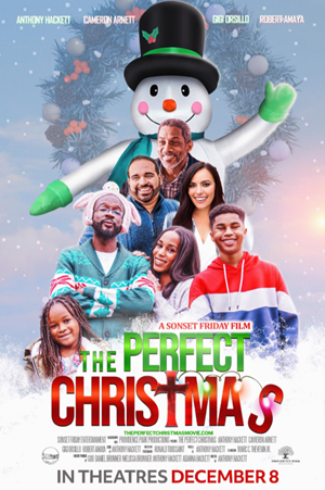 The Perfect Christmas